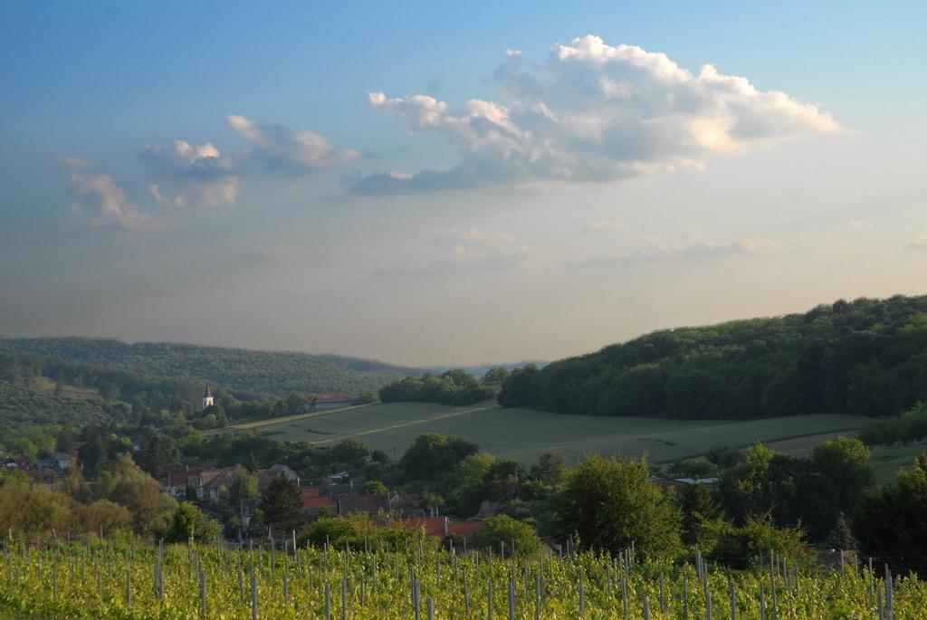 Matievics Borászat és Vendégház Szálka Exterior foto