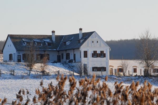 Matievics Borászat és Vendégház Szálka Exterior foto